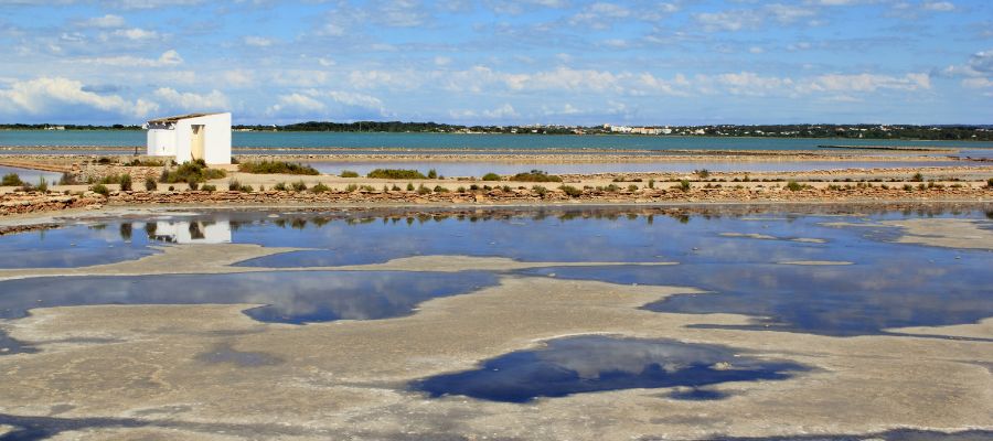 Parque Natural de Ses Salines